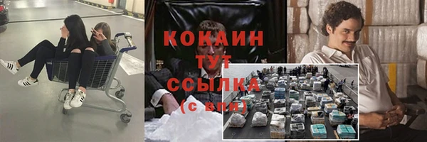 МДПВ Карпинск