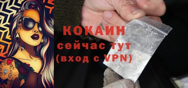 МДПВ Карпинск